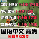 微观小小世界地球脉动蓝色星球给孩子儿童的科普知识BBC纪录片中文高清视频素材