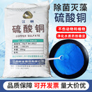 硫酸铜粉末杀菌剂泳池鱼塘水产养殖果树农用除藻净水江铜蓝矾晶体 除青苔除水藻类（25公斤）