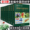 现货 新编中国药材学(全8卷)二三四五六七八卷中国中药资源大典中药材系列 中药材鉴定图谱医药科技
