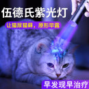 REICHOLD伍德氏猫藓灯猫尿365nm紫光手电筒真菌检测紫外线专用灯UV黑镜