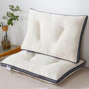 抗菌枕头可水洗酒店专用超柔软枕芯家用学生宿舍 抗菌儿童款-水立方500克低枕 一只装+一只枕套