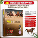 马病诊治彩色图谱 杨英 马寄生虫病 马内科病 马外科病和马产科病诊治技术 马病诊治指导书 养马技术人员基层兽医工具书