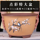 紫砂花盆大号兰花盆阳台种菜盆栽花卉特大号陶瓷花盆  馳爵 T005特大号 尺寸参照图片