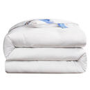 蚕丝被桑蚕丝春秋被空调被子加厚冬被单人双人被芯被褥 纯色压花-白色 220*240cm6斤