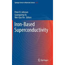 【2-4周达】Iron-Based Superconductivity