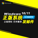 正版windows10专业版系统教育版企业版win11家庭版电子版 普票 win10专业版(发邮箱）