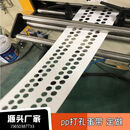 鸡蛋捡蛋带鸡蛋传输带PP鸡蛋收集带输送带打孔鸡蛋蛋带养鸡场用 10cm打孔蛋带预付