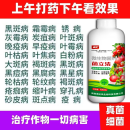新型病菌清微生物菌剂杀菌剂真菌细菌病毒病早晚疫病霜霉病白粉病 菌立清【细菌 真菌 病毒 通杀】 【火爆款】500克1瓶