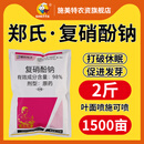 施美特 郑氏化工98%复硝酚钠原粉植物生长调节剂保花保果农药1000克 复硝酚钠1公斤*1代