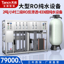 天纯2T大型反渗透净水器EDI去离子设备纯水机商用大通量净水机工程实验室制水机井水2吨+EDI超纯水设备