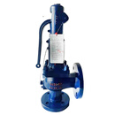 安全阀A48E-16C/25C非标dn25/40/65可代替斯派莎克德标安全阀 下单前请联系客服确认参数