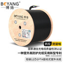 博扬 GYTA铠装单模室外光缆 12芯光缆 通信光纤光缆 层绞式室外架空/管道 3000米 BY-GYTA-12B1.3-3KM