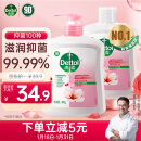 滴露（Dettol）抑菌洗手液滋润500g+500g补充装替换 家庭儿童消毒护手