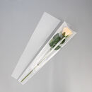 单面透明单面磨砂防水diy单支玫瑰包装花束单支鲜花包装袋 【白色磨砂】50张/包送两米丝带