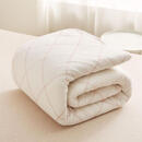 棉被垫被床垫棉被子冬天加厚学生宿舍棉花被芯春秋被褥棉胎被 1.8米 *2.2米 5斤