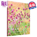 预售 自然花园的梦幻植物 英文原版 Dream Plants for the Natural Garden 皮特 奥多夫  Piet Oudolf  花园植物种植