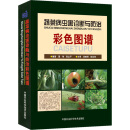 【阳光图书】正版 蔬菜病虫害诊断与防治彩色图谱图鉴大全 蔬菜病虫害原色图鉴 农资经营常用 番茄 黄瓜