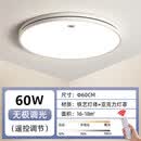 雷士照明LED吸顶灯客厅灯圆形40 50 60 80CM现代简约卧室灯具 一线圆 60cm遥控无极60w