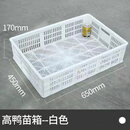 塑料框蔬菜水果筐长方形周转筐镂空加厚商用特大号快递分货匡箱 多用筐4号65*45*17cm