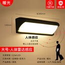 微伙户外壁灯防水过道楼梯庭院门口室外led超亮防水灯阳台浴室墙壁灯 D款大号50W暖光(感应款)