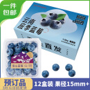 京鲜生 云南蓝莓 12盒 约125g/盒 15mm+ 新鲜水果礼盒 源头直发 包邮