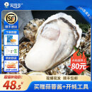 贝司令（BEISILING）【源头直发】鲜活乳山生蚝海鲜贝类牡蛎2-4两 净重4斤 8-15只