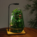 创意室内桌面微缩景观小森林生态瓶闷养绿植流水养鱼螃蟹造景礼物 大号山间瀑布+植物灯