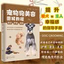 宠物狗美容图解教程：清洁、护理、造型 贵宾比熊雪纳瑞 造型全攻略 清洁护理修剪一步一图 零基础入门狗狗美容自学指南