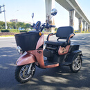 小龟王电动三轮车小型家用老接送孩子女士成人可进电梯代步电瓶车 菜篮款【含黑金22Ah电池前后三碟刹】 72V及以上