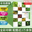 中国高等植物彩色图鉴(全套共9册）