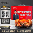 【活蟹】今锦上大闸蟹鲜活螃蟹礼盒公4.3-4.6两母2.8-3.1两4对8只精品礼盒礼品去绳足重