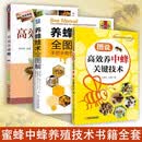 高效养中蜂 蜜蜂养殖技术书籍 养蜜蜂的书籍 中华蜂土蜂中蜂饲养养殖技术书籍 养蜂技术大全养蜂技术手册 高效养中蜂 +养蜂技术全图解+图说高效养中蜂关键技