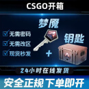 亚亘旭伶网游周边现货秒发CS2钥匙梦魇加武器箱CSGO钥匙伽玛多普勒 40套箱子+钥匙