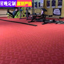 星晚地毯大面积卧室满铺房间整卷楼梯客厅商用酒店全铺办公室家用 大红四边 定制3.3米宽【长几米买几件】