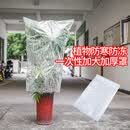 水璟加厚塑料薄膜 花卉绿植盆栽过冬防冻保温膜袋植物冬季果树防寒罩 10丝10个 100*150