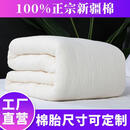 正宗棉花被棉絮棉胎床垫褥子垫被加厚冬被学生棉被春秋被棉被芯 双人被芯180*220 5斤新疆棉被