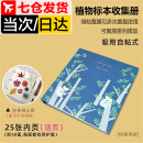 zepin植物标本收集册DIY覆膜粘贴式相册树叶干花收集册儿童创意手工 树袋熊(吸附式25张页)