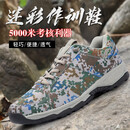 际华特训迷彩鞋男运动鞋作训鞋解放鞋超轻体能训练跑鞋胶鞋户外休闲新式 迷彩鞋四季帆布款 40