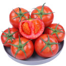普罗旺斯西红柿 沙瓤番茄5斤  新鲜水果蔬菜 精选装5斤中大果