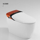 麦德琪德国麦德琪MDQ智能马桶MT093E德国带水箱全自动即热遥控彩色马桶 帊派雅橙