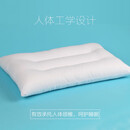 枕心学生枕头枕芯颈椎枕舒服枕成人家用定型单人宿舍枕头套装 一对装(实发两个) 定型枕低抌40*60