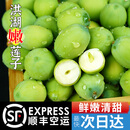 【顺丰空运】现剥嫩莲子洪湖新鲜嫩莲蓬带绿壳湖北生吃太空莲 嫩莲子3斤