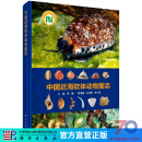 [按需印刷]中国近海软体动物图志