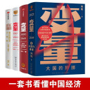 变量系列全套4册：看见中国社会小趋势+推演中国经济基本盘+本土时代的生存策略+大国的腾挪 经济学理论套装