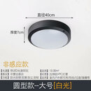 别墅大门口灯户外吸顶灯自建房大门口顶灯大门上的门灯室外防水阳台灯防潮防虫过道灯圆形走廊大门灯led 直径40cm黑色+50瓦LED芯片