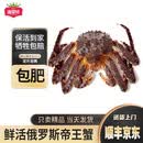 【现货】鲜活俄罗斯帝王蟹 皇帝蟹海鲜礼盒 中秋礼品 年货年夜饭 【鲜活帝王蟹】5.5斤以上
