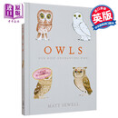 我们迷人的鸟 英文原版 Owls: Our Most Enchanting Matt Sewell