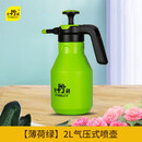 史丹利 喷壶浇花水壶洒水壶家用气压式消毒专用喷水壶 【薄荷绿】2L气压喷壶