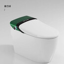 麦德琪德国麦德琪MDQ智能马桶MT093E德国带水箱全自动即热遥控彩色马桶 曼巴绿