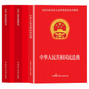 中华人民共和国：民法典+刑法+宪法（全3册）全套及司法解释 宪法刑法实用版 法条法律法规 法律出版社 普法书籍